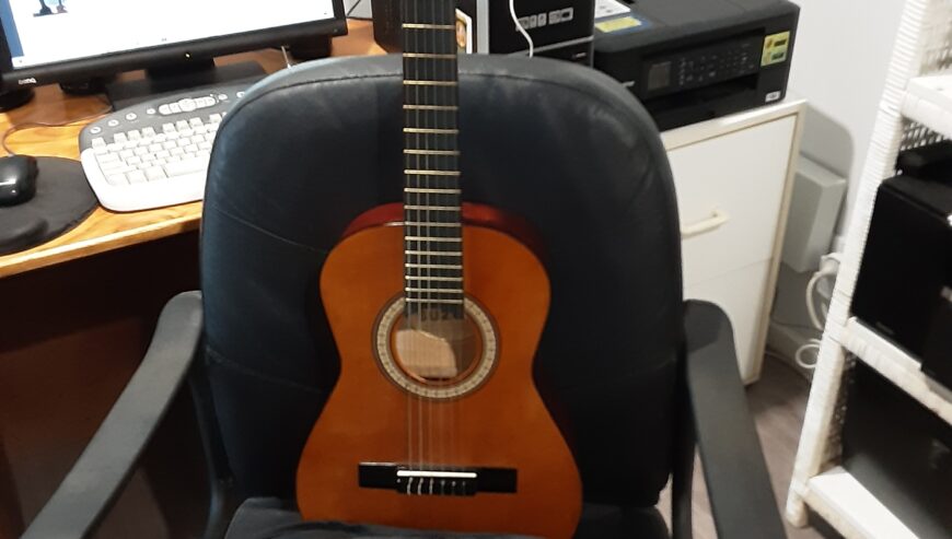 Suzuki Acoustic Guitar 3/4 Size with Carry Bag