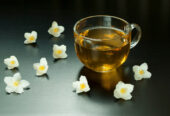 Wholesale of Jasmine from the manufacturer at optimal prices